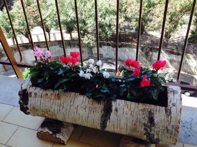 Chiavi Antiche B&B Salerno Pokoj fotografie